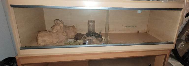 x2 4ft vivariums *see photos and description
