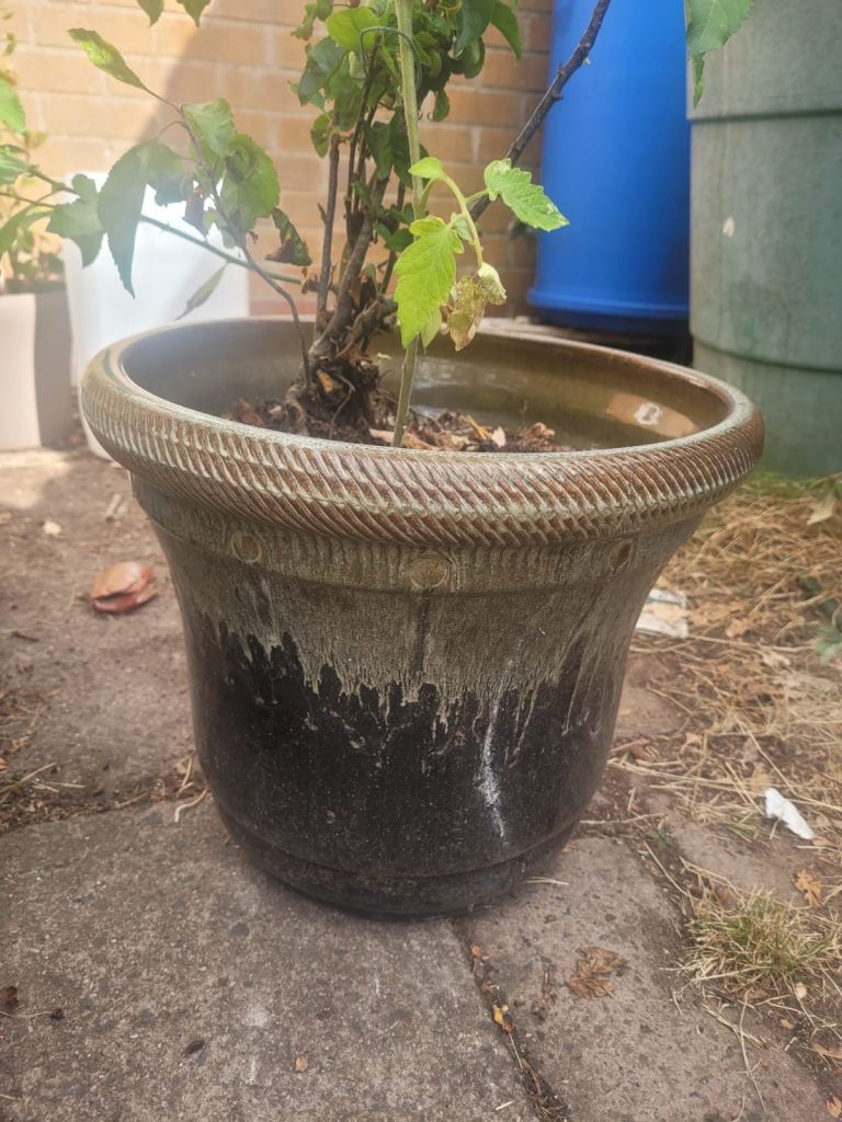 Garden pots
