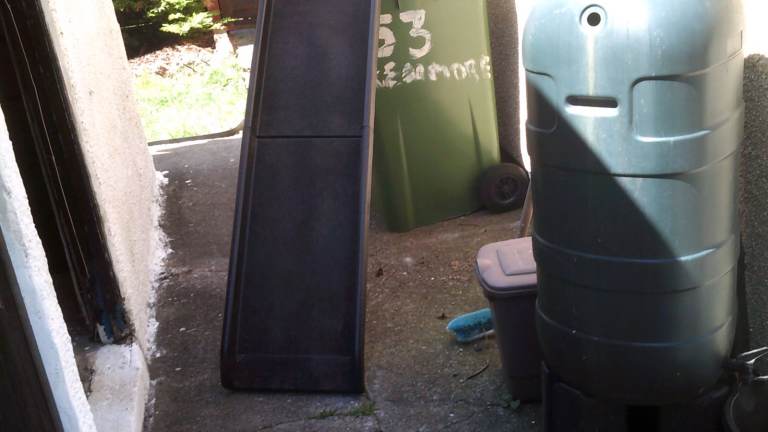 dog  ramp for helping dog