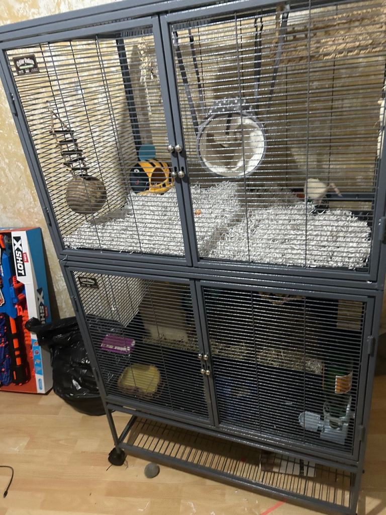 Double critter nation rat cage