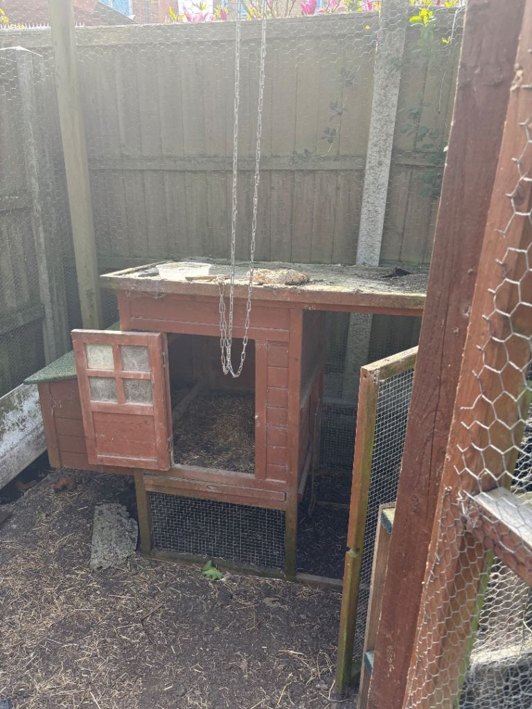 plenty life left chicken run and house