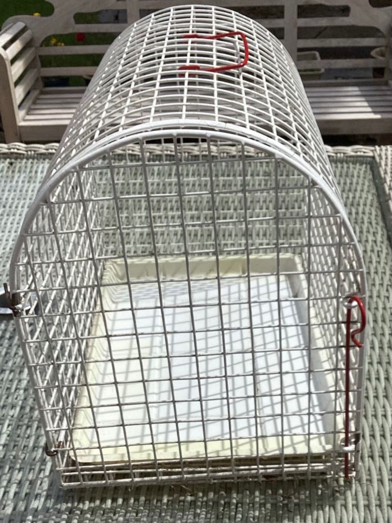 Large cat carrier