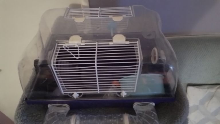 Hamster cage