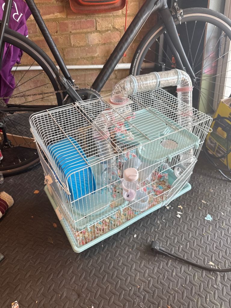 Hamster cage