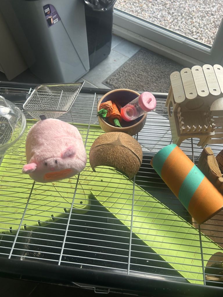 Hamster Cage and Accessories 