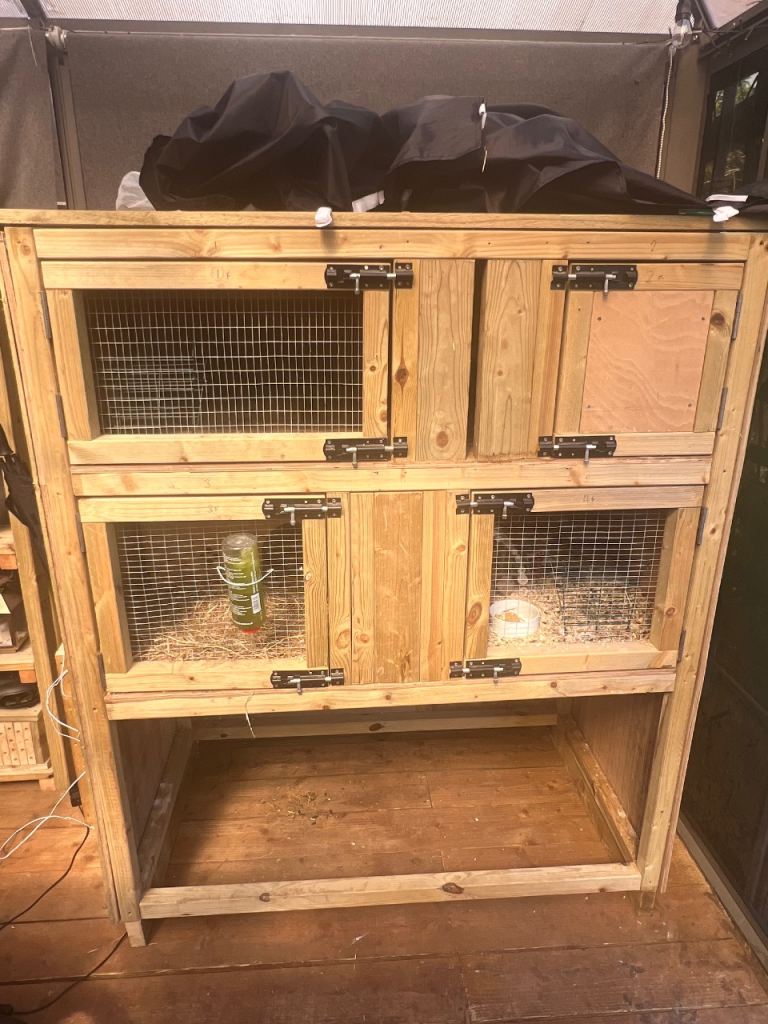 Handmade Rabbit/Guinea pig Hutch 