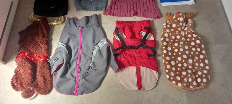 Dog coats & jumber lot lot mixed sizes 