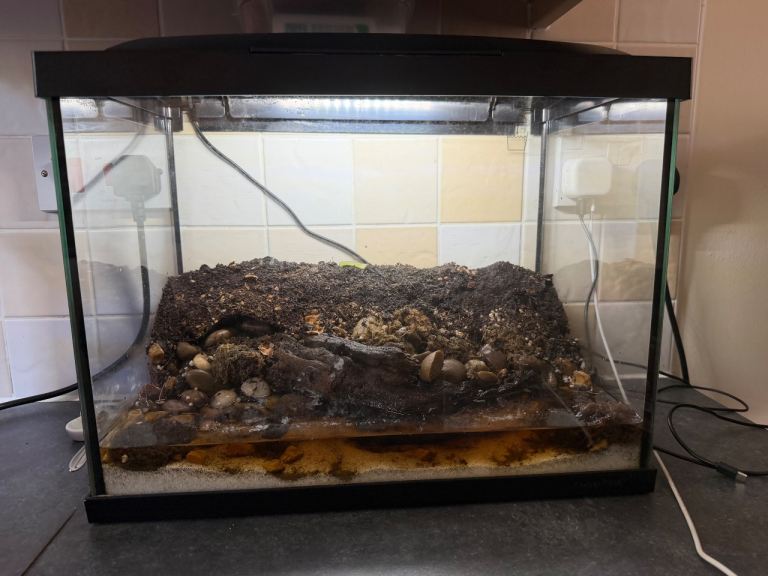Vampire crab bio active tank 