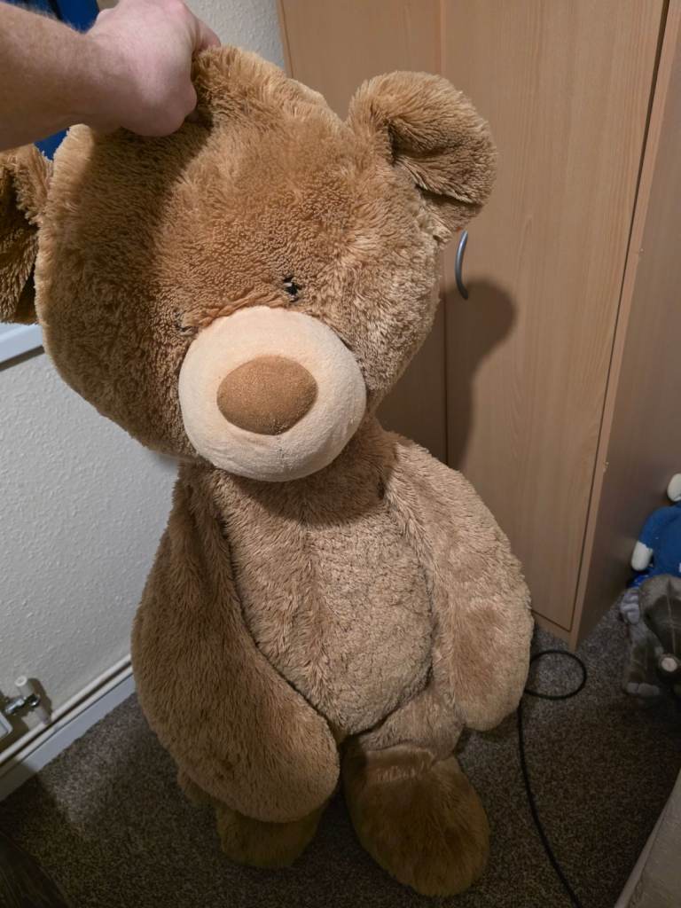 Large teddy bear 