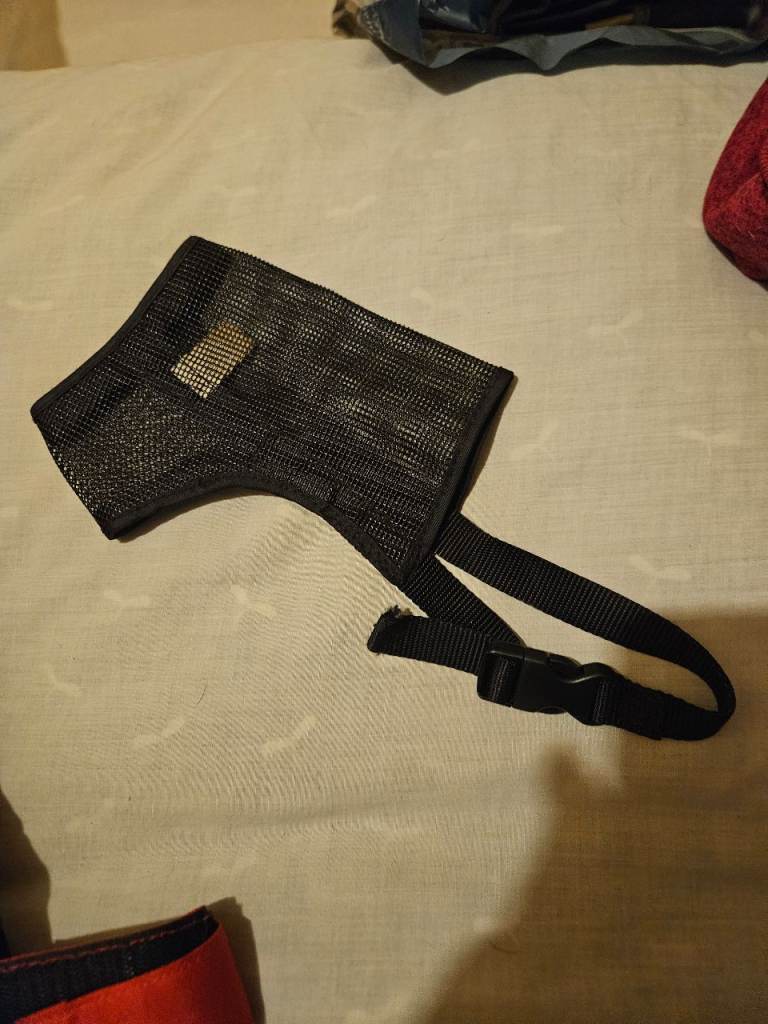 2 dog L muzzles