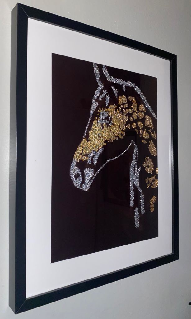 Horse pictures framed 
