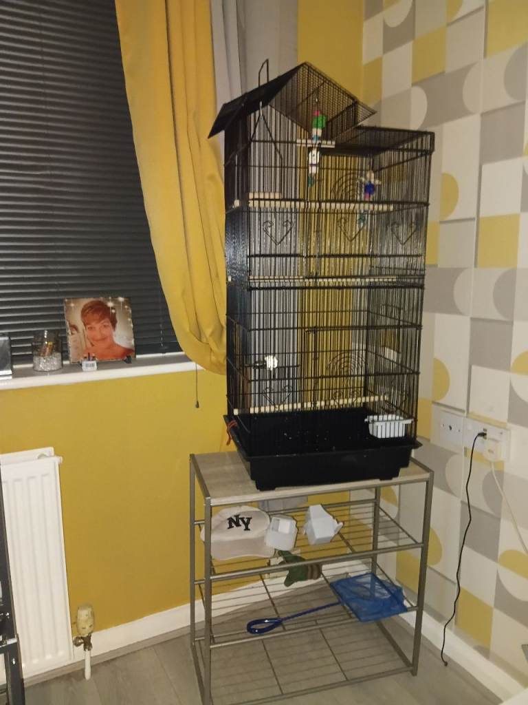 Bird cage