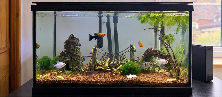 45L Fish Tank / Aquarium with Oase External Filter, Heater, Fish & Accessories – £100 ONO