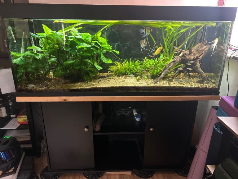 Fish tank 450L full setup