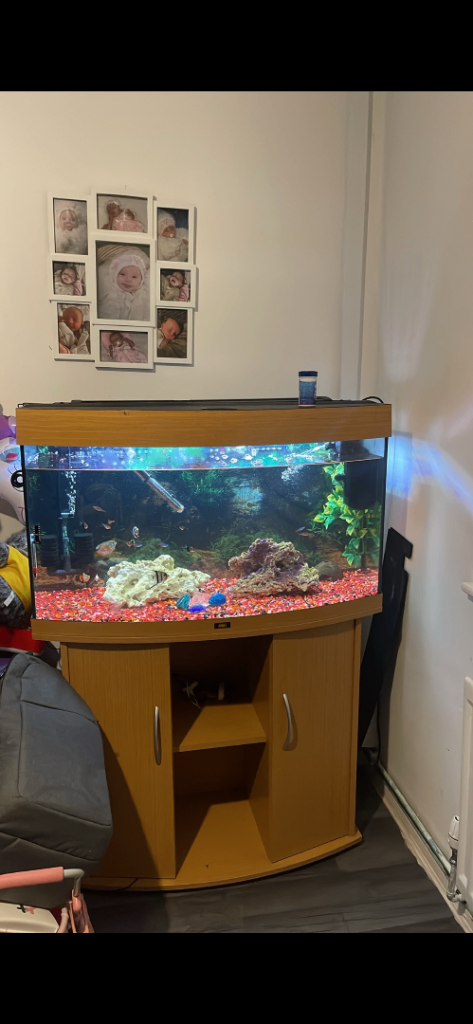 Juwel 180l aquarium and stand (everything Included)