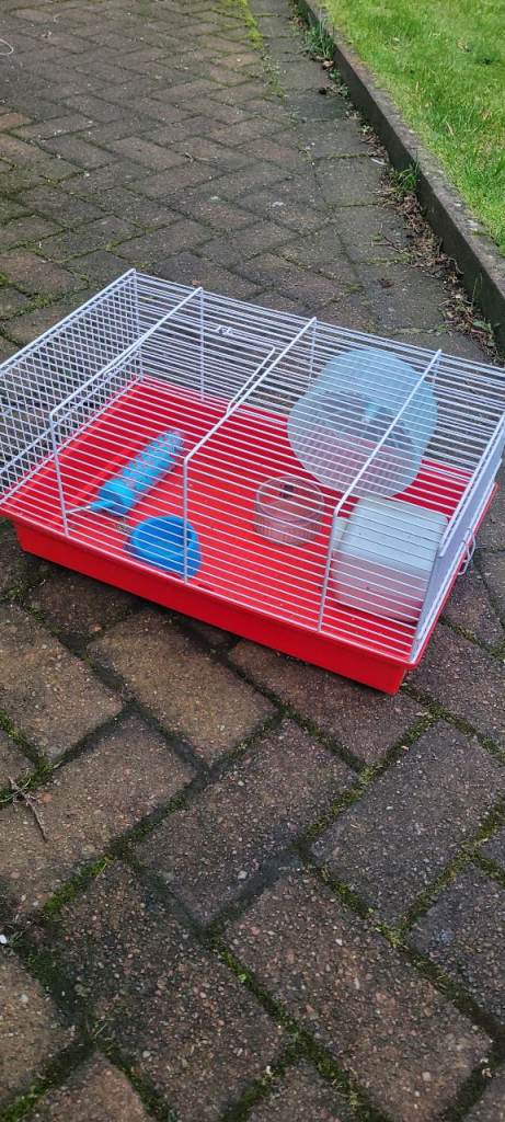 Hamster of Gerbil cage