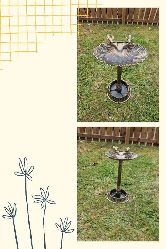 Clam Shell Bird Bath