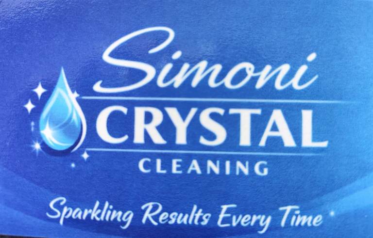 professional cleaning company