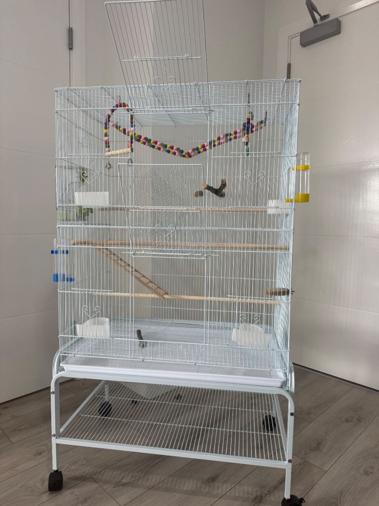 Bird cage 