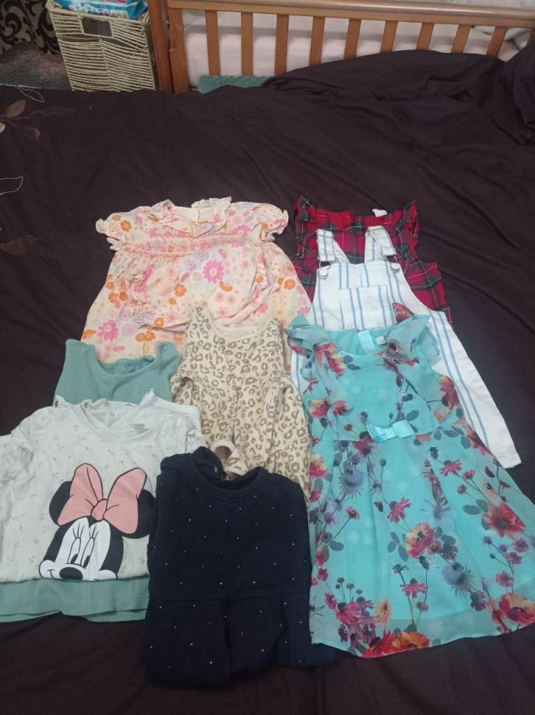 Baby girl clothes 12-18 months