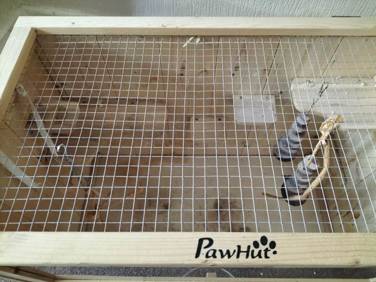 Paw hut hamster cage 
