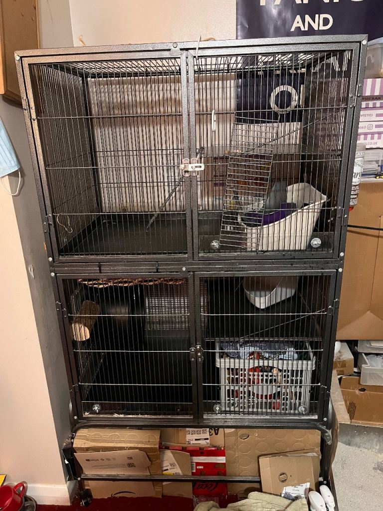 Large rat/ferret cage 