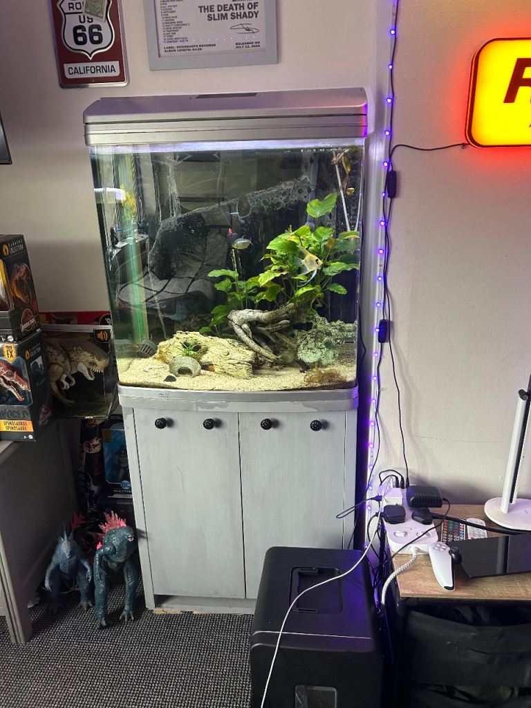 Aqua style 620t tropical tank Inc fish