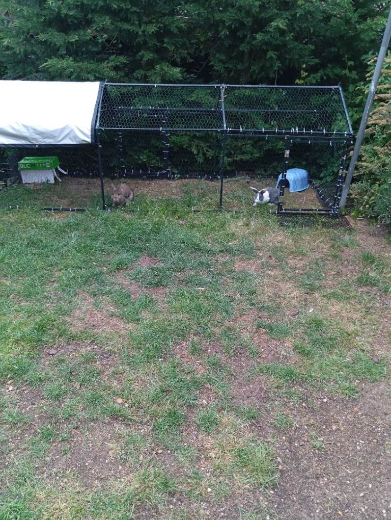 XL Metal Run Rabbit Guinea Pig Chicken Duck Pet Dog Enclosure Roof 3m x 1m x 1m
