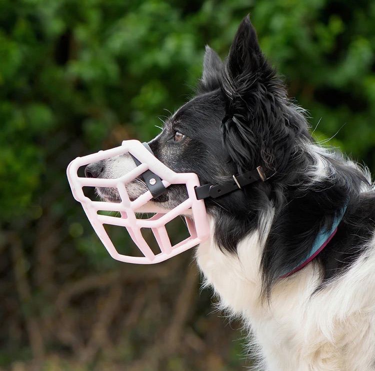 Muzzle Movement dog muzzle