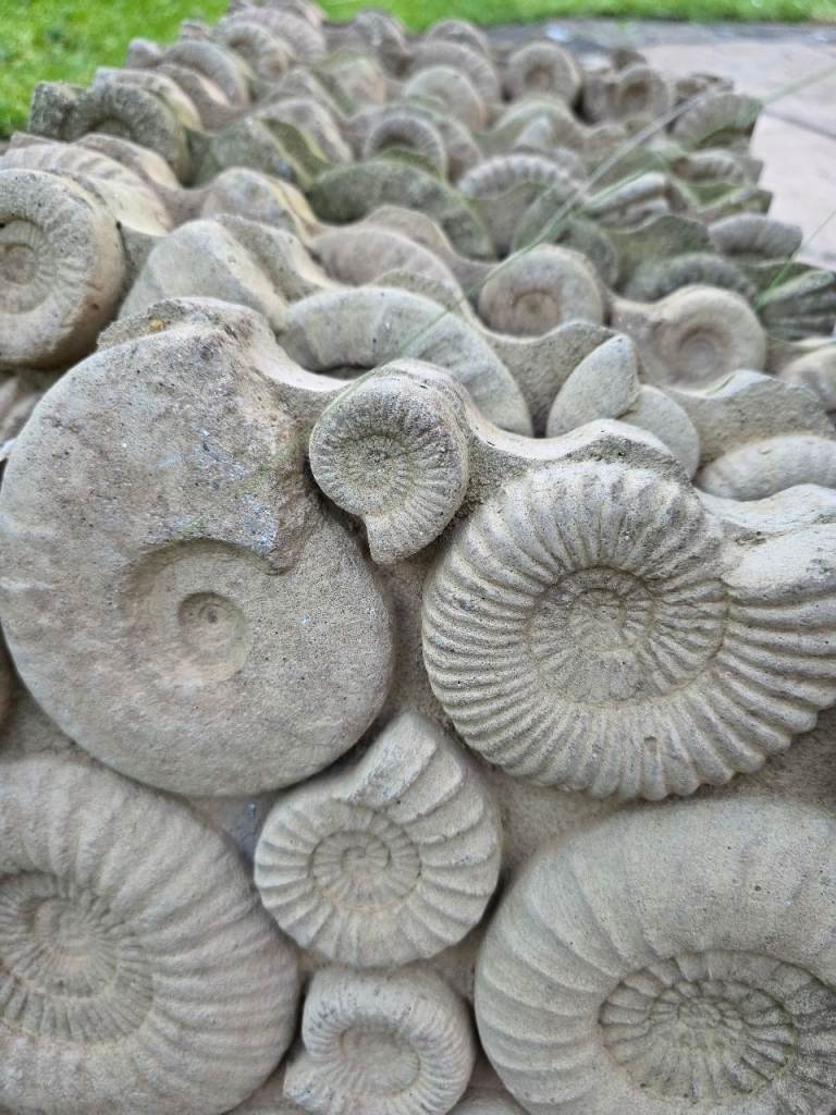 Ammonite decorative paving slabs