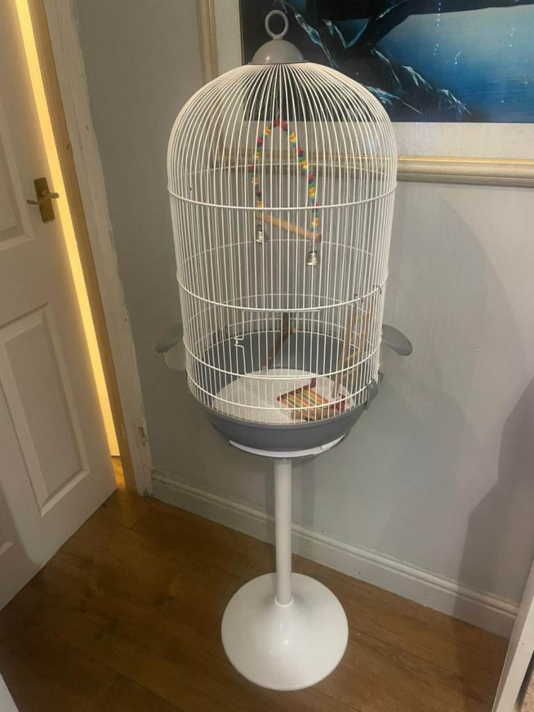 White Round Bird Cage