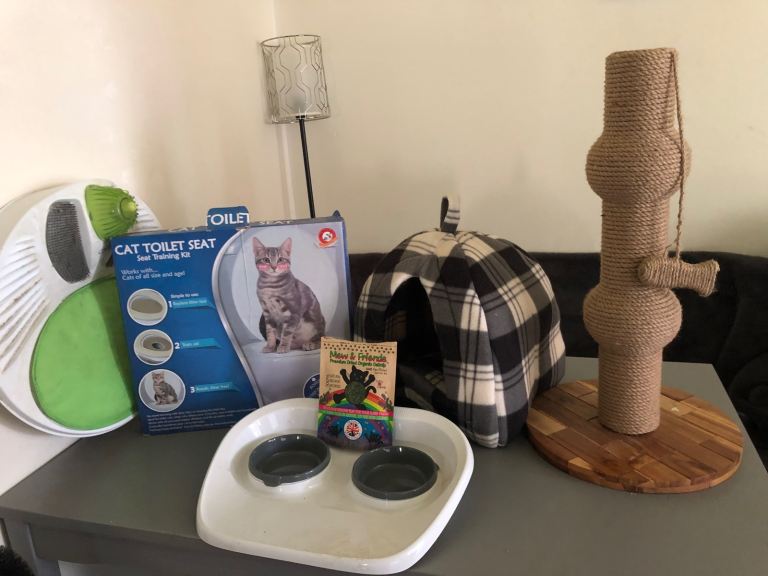 Cat or kitten starter bundle 