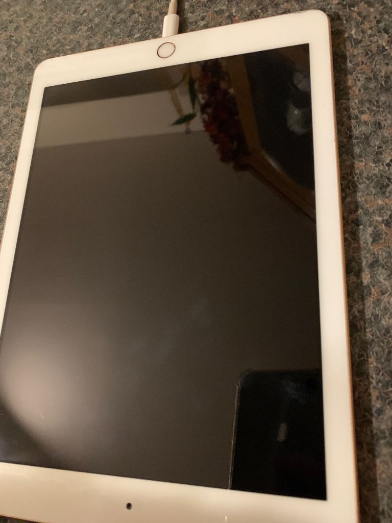 Apple iPad 9.7 6th generation rose gold with case thank you 32GB