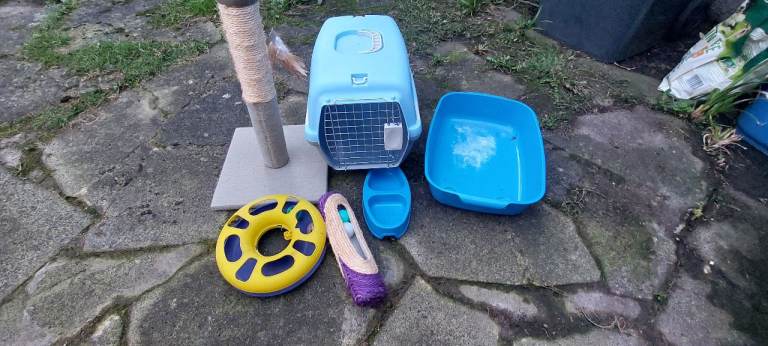 Cat carrier and toys