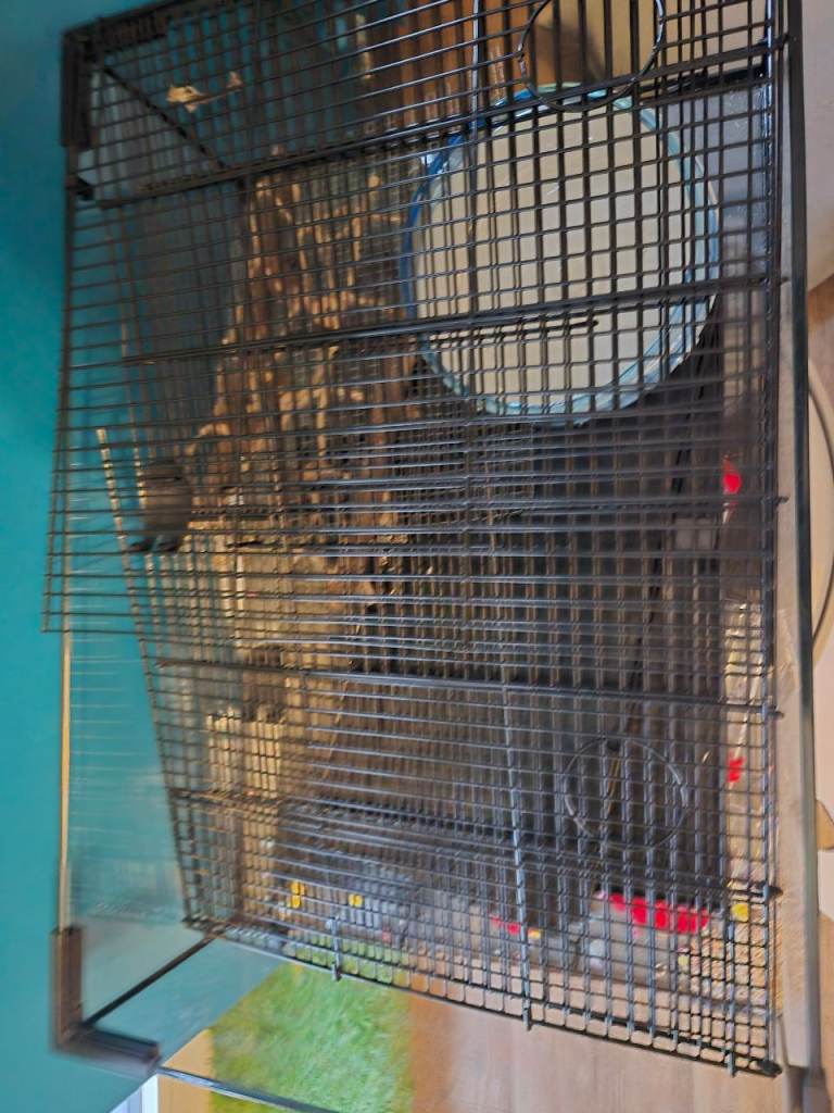 FREE TO COLLECT Small animal cage with glass base