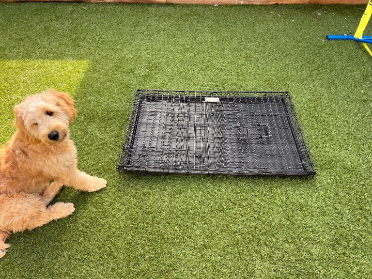 Black dog crate and cover 