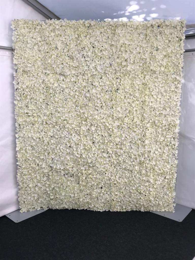 Flower wall hire 