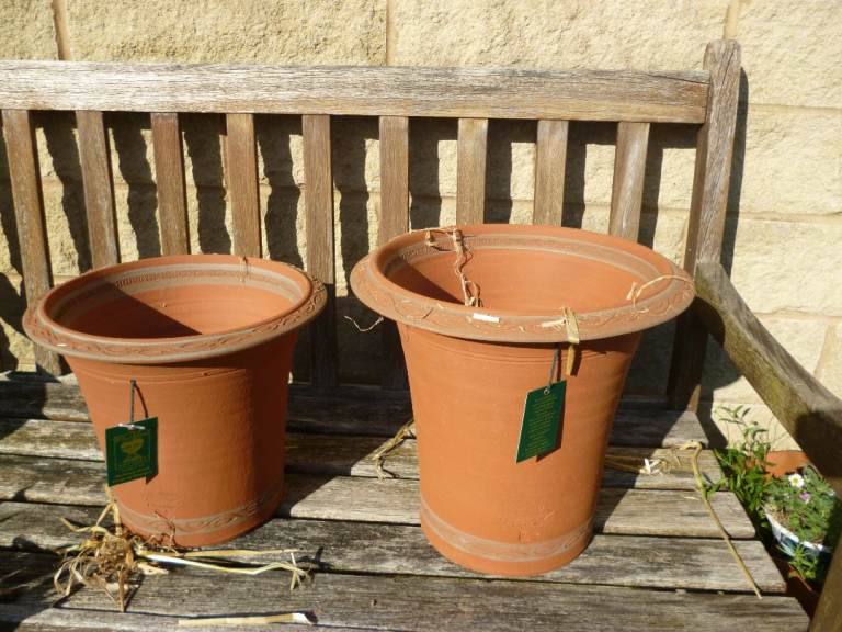 NEW Whichford Pottery Flowerpots