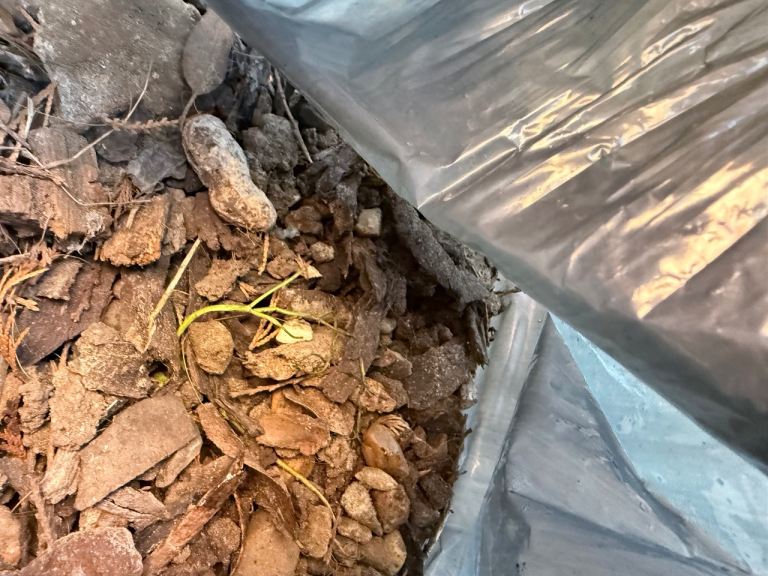 FREE land fill / garden levelling