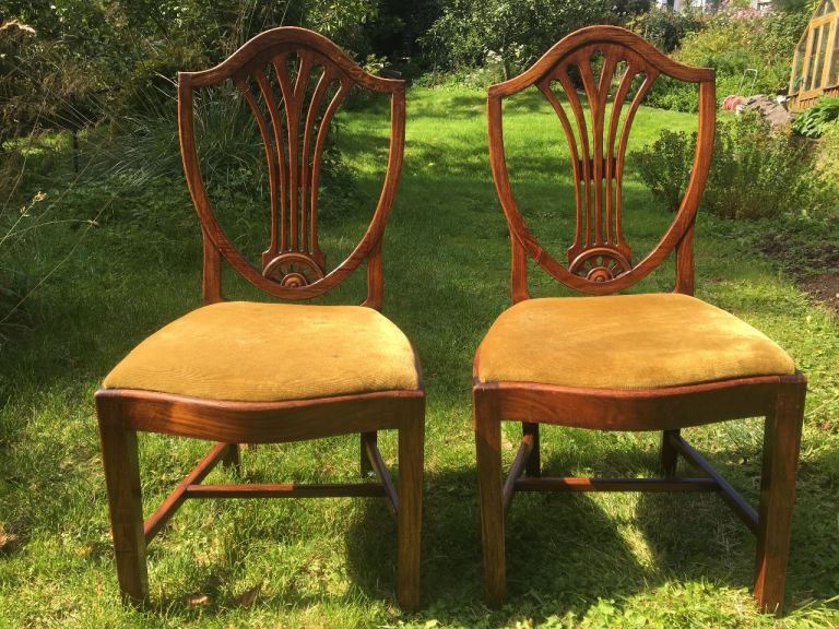 Antique Dining Chairs - Pair
