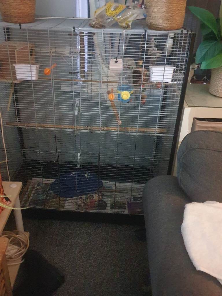 Large cage 