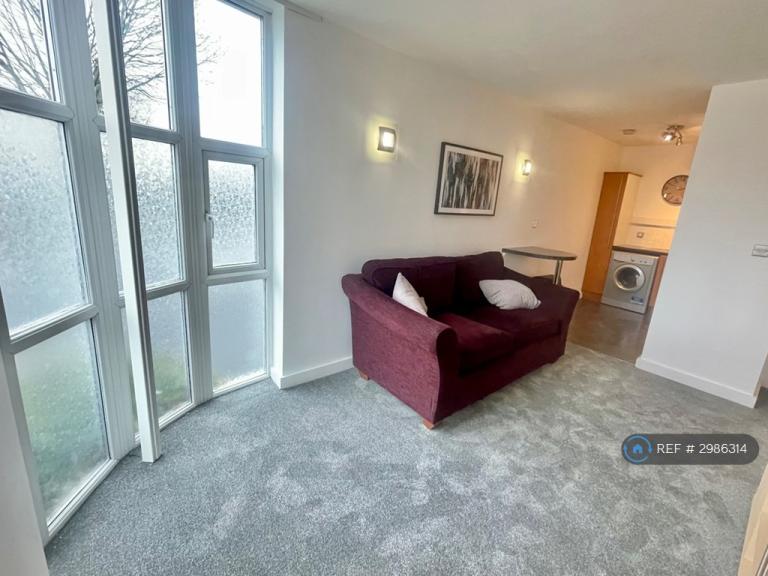 1 bedroom flat in Castle Lane West, Bournemouth, BH8 (1 bed) (#2986314)