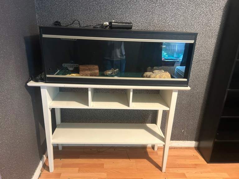 Lizard Vivarium - full set up