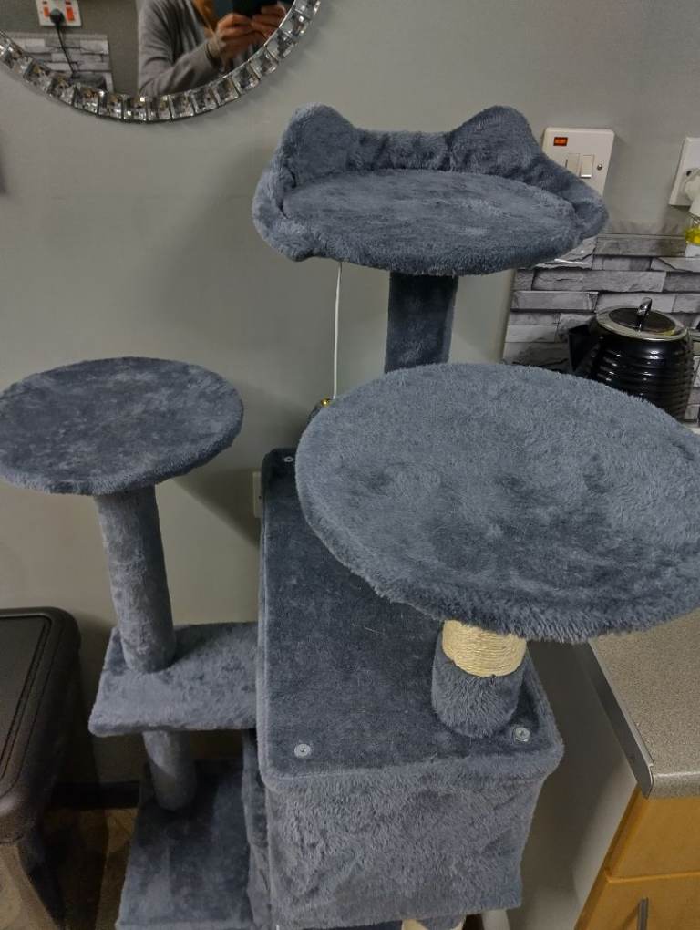 Brand new cat tree