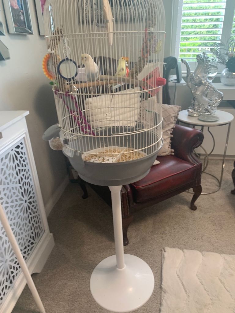 White round cage and stand 