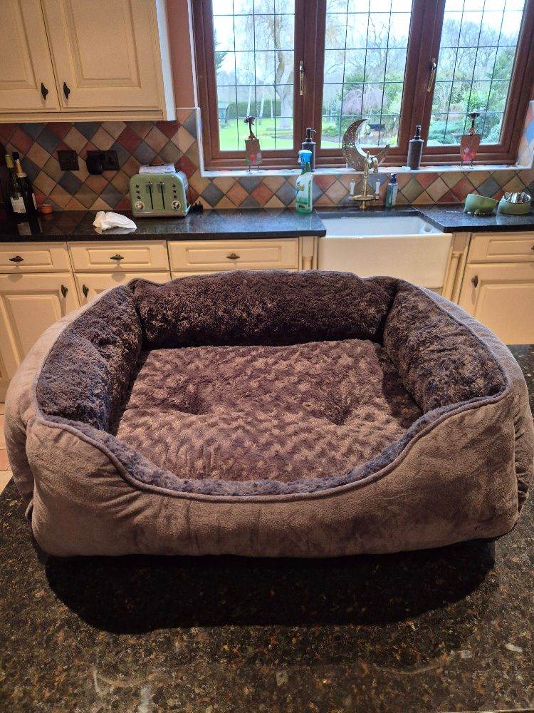 large cat bed perfect condition hardly used due to cat having to be put to sleep