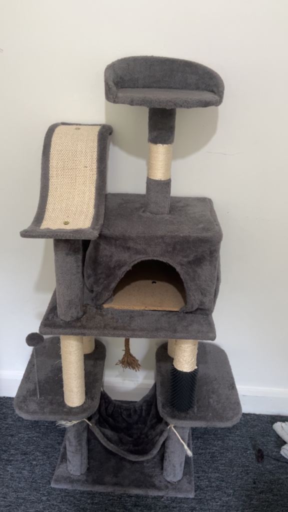 4 level cat scratch 