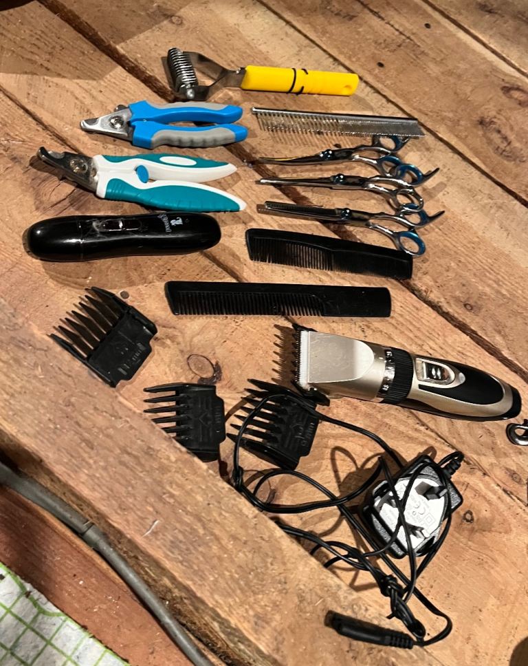 Dog grooming kit