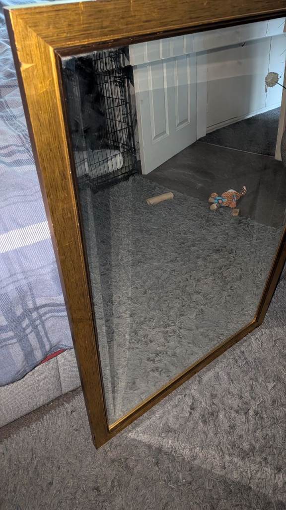 Mirror gold frame 