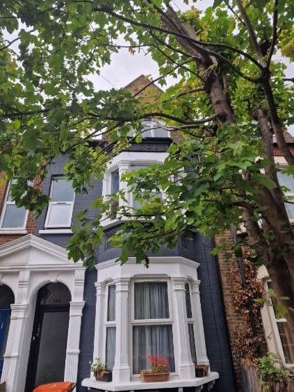 Spacious single room in Stratford 